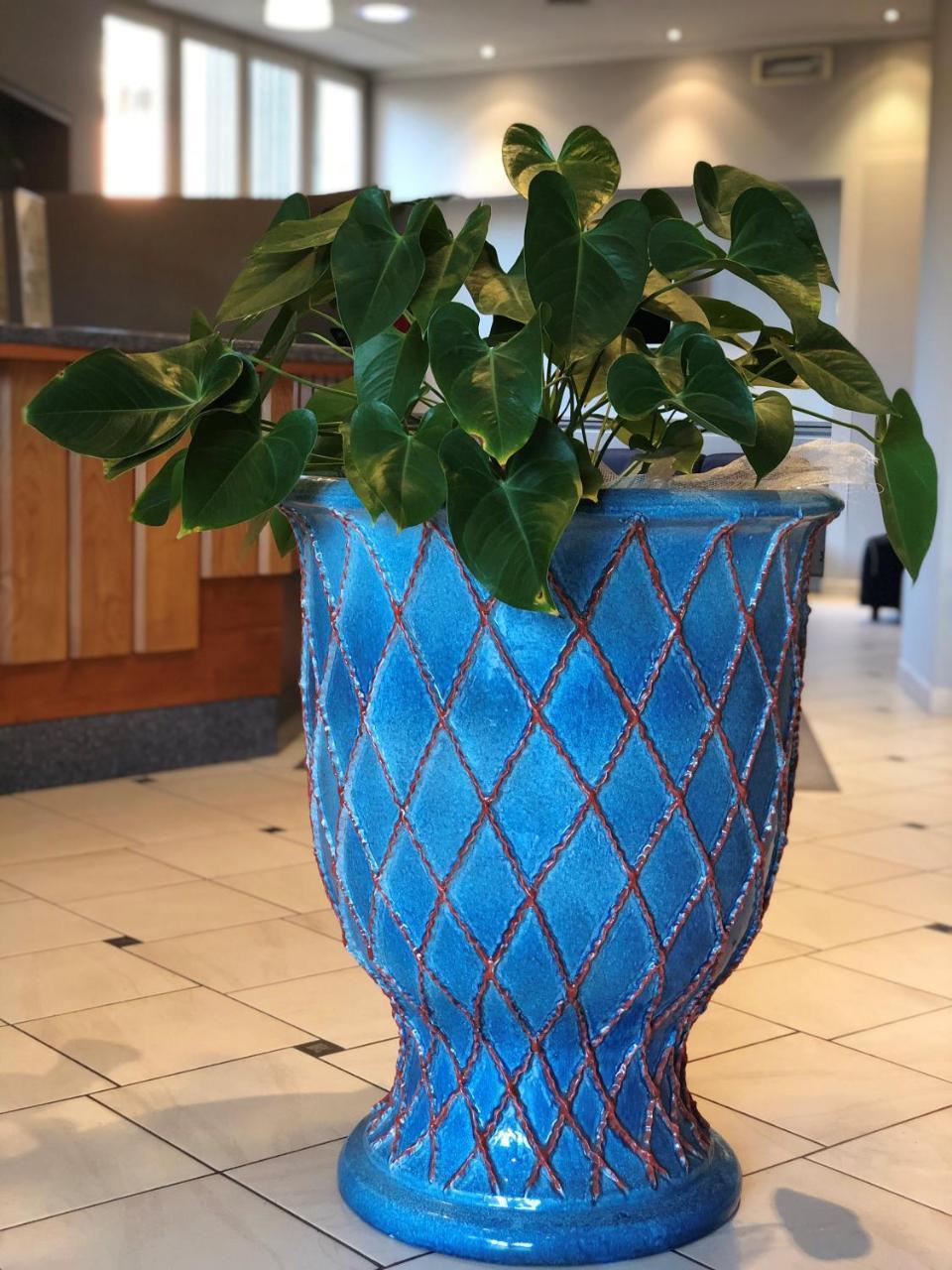 Hotel Delfina シーニャ エクステリア 写真