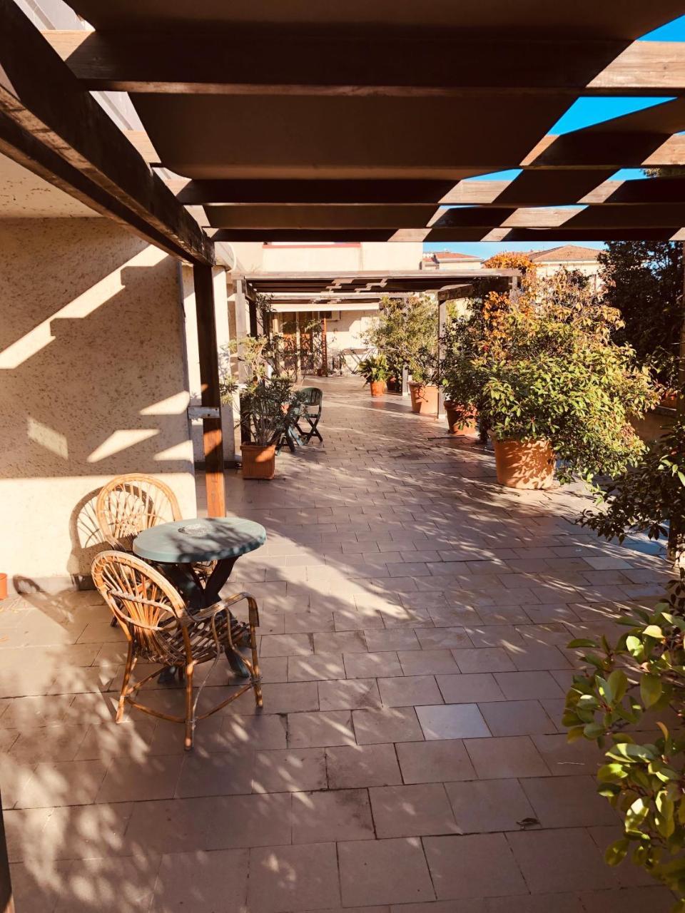 Hotel Delfina シーニャ エクステリア 写真